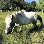 A La Campagne Au Bord D'un 8 Personnes Prázdninový dům *
