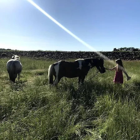 A La Campagne Au Bord D'un 8 Personnes Saint-Quentin-sur-Charente