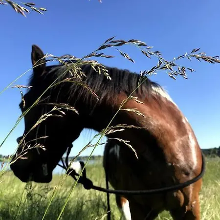 A La Campagne Au Bord D'un 8 Personnes Ferienhaus