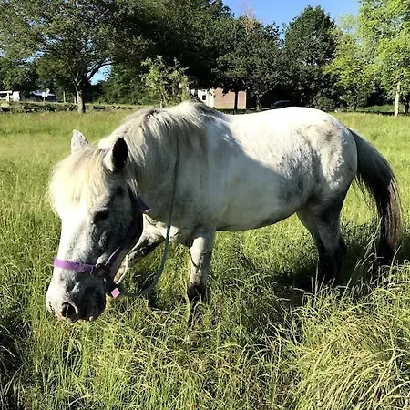 A La Campagne Au Bord D'un 8 Personnes Holiday home *