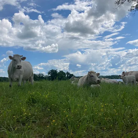 Semesterbostad A La Campagne Au Bord D'un 8 Personnes *