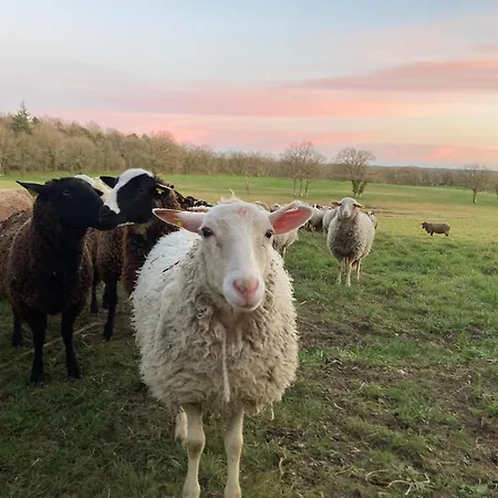 A La Campagne Au Bord D'un 8 Personnes Semesterbostad Saint-Quentin-sur-Charente