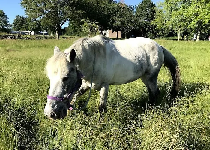 A La Campagne Au Bord D'un 8 Personnes 度假居 *
