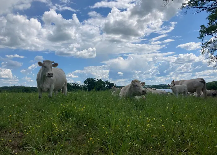 度假居 A La Campagne Au Bord D'un 8 Personnes *