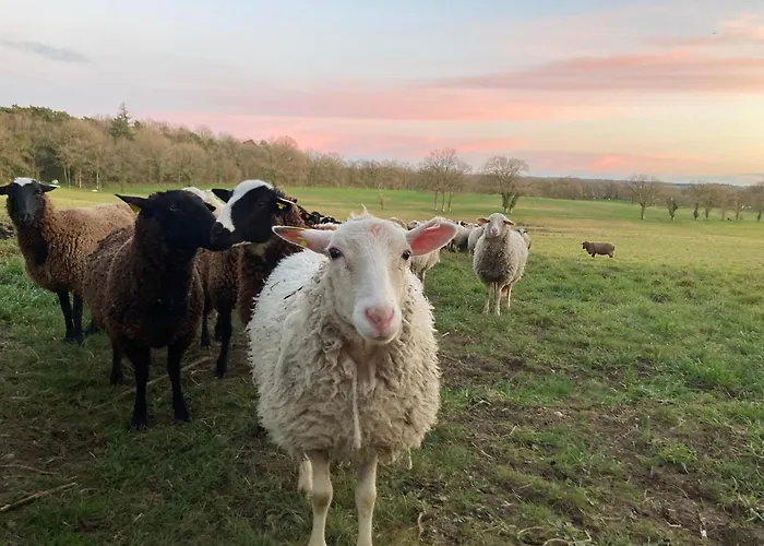 A La Campagne Au Bord D'un 8 Personnes 度假居 Saint-Quentin-sur-Charente